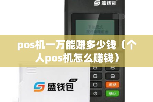 pos机一万能赚多少钱（个人pos机怎么赚钱）