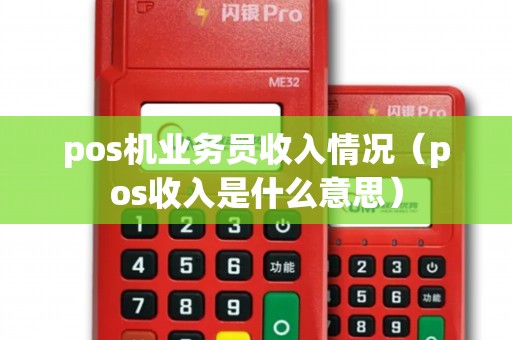 pos机业务员收入情况（pos收入是什么意思）