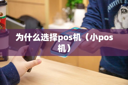 为什么选择pos机（小pos机）