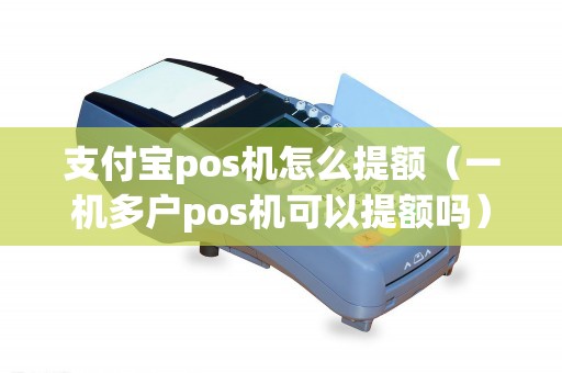 支付宝pos机怎么提额（一机多户pos机可以提额吗）