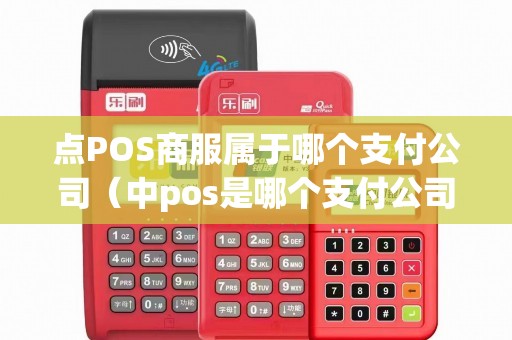 点POS商服属于哪个支付公司（中pos是哪个支付公司的）