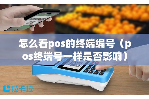 怎么看pos的终端编号（pos终端号一样是否影响）