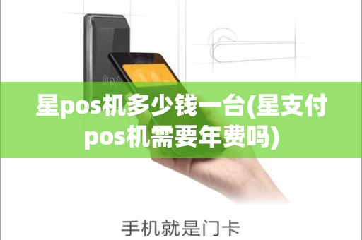星pos机多少钱一台(星支付pos机需要年费吗)