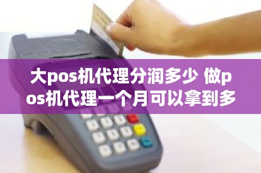 大pos机代理分润多少 做pos机代理一个月可以拿到多少分润