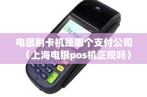 电银刷卡机是哪个支付公司（上海电银pos机正规吗）