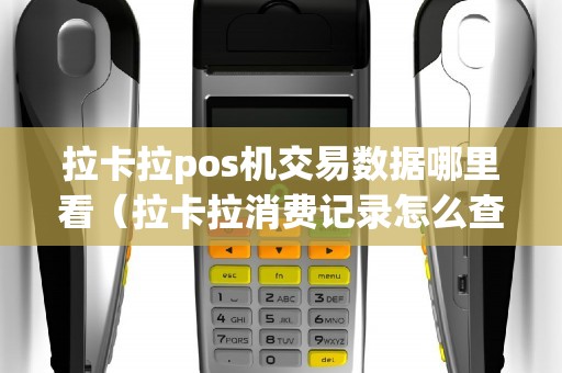 拉卡拉pos机交易数据哪里看（拉卡拉消费记录怎么查）