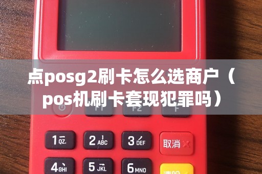 点posg2刷卡怎么选商户（pos机刷卡套现犯罪吗）