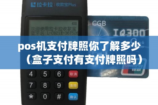 pos机支付牌照你了解多少（盒子支付有支付牌照吗）