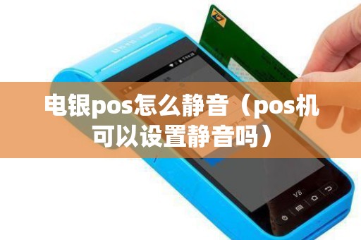 电银pos怎么静音（pos机可以设置静音吗）