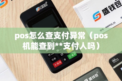 pos怎么查支付异常（pos机能查到**支付人吗）