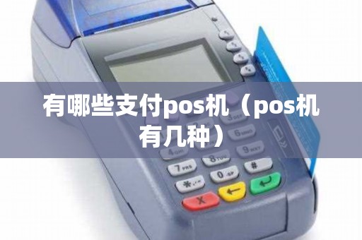 有哪些支付pos机（pos机有几种）