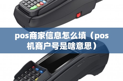 pos商家信息怎么填（pos机商户号是啥意思）