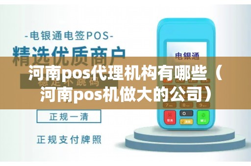 河南pos代理机构有哪些（河南pos机做大的公司）