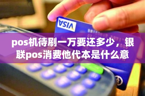 pos机待刷一万要还多少，银联pos消费他代本是什么意思