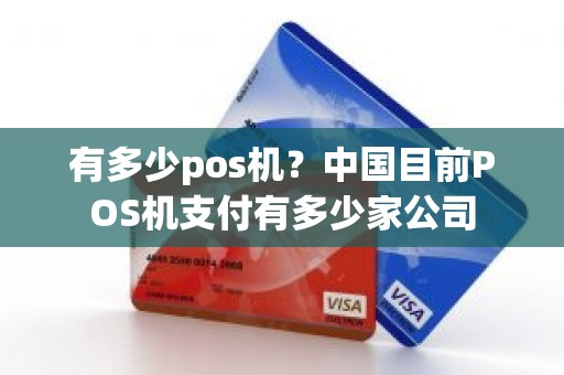 有多少pos机？中国目前POS机支付有多少家公司