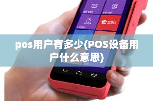 pos用户有多少(POS设备用户什么意思)