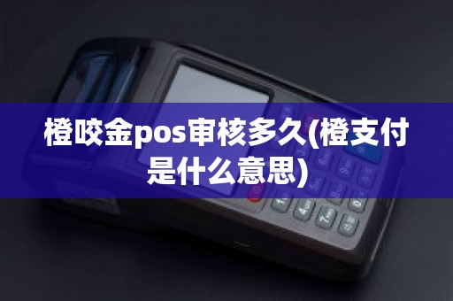 橙咬金pos审核多久(橙支付是什么意思)