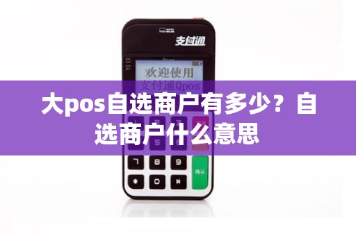 大pos自选商户有多少？自选商户什么意思