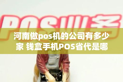 河南做pos机的公司有多少家 钱盒手机POS省代是哪家有谁知道吗