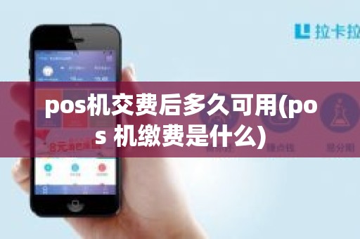 pos机交费后多久可用(pos 机缴费是什么)