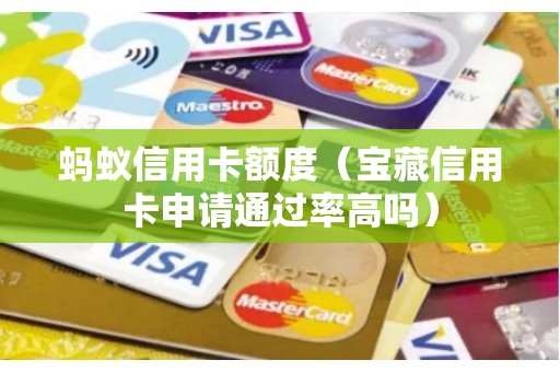蚂蚁信用卡额度（宝藏信用卡申请通过率高吗）
