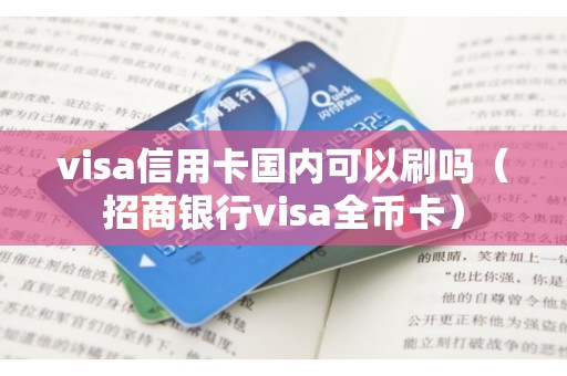 visa信用卡国内可以刷吗（招商银行visa全币卡）