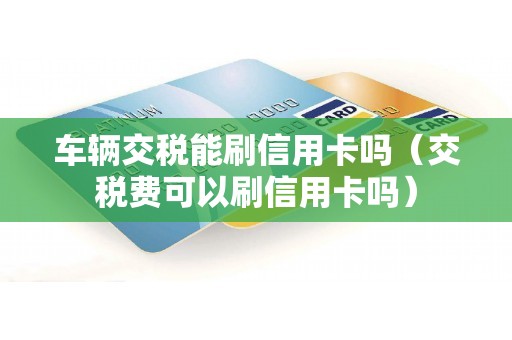 车辆交税能刷信用卡吗（交税费可以刷信用卡吗）