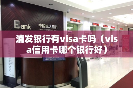 浦发银行有visa卡吗（visa信用卡哪个银行好）