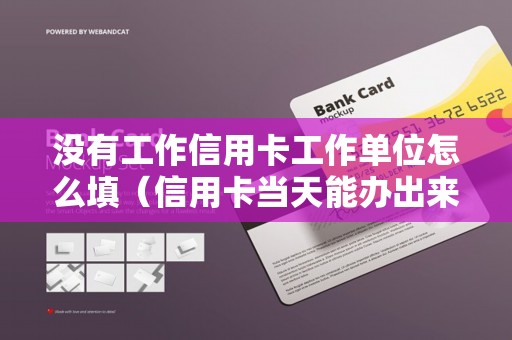 没有工作信用卡工作单位怎么填（信用卡当天能办出来吗）