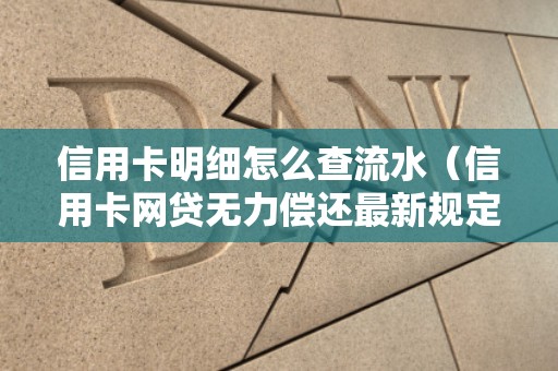 信用卡明细怎么查流水（信用卡网贷无力偿还最新规定）