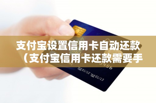 支付宝设置信用卡自动还款（支付宝信用卡还款需要手续费吗-）