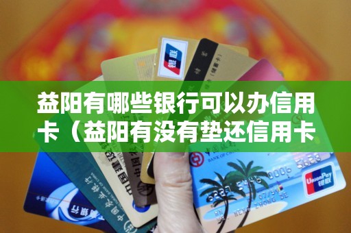 益阳有哪些银行可以办信用卡（益阳有没有垫还信用卡的）