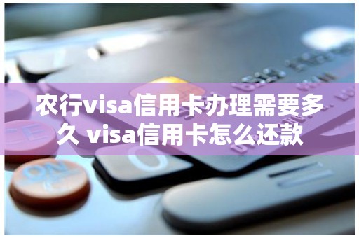 农行visa信用卡办理需要多久 visa信用卡怎么还款