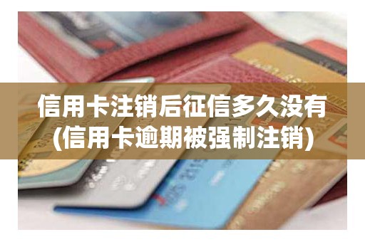 信用卡注销后征信多久没有(信用卡逾期被强制注销)