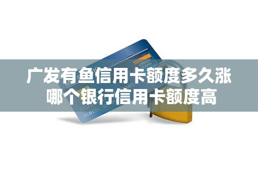 广发有鱼信用卡额度多久涨 哪个银行信用卡额度高
