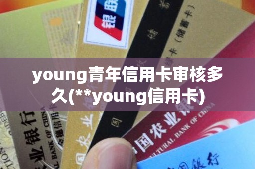 young青年信用卡审核多久(**young信用卡)