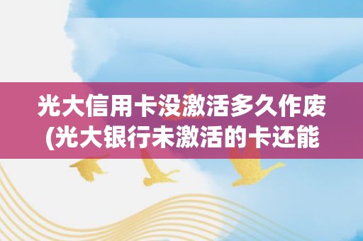 光大信用卡没激活多久作废(光大银行未激活的卡还能用吗)