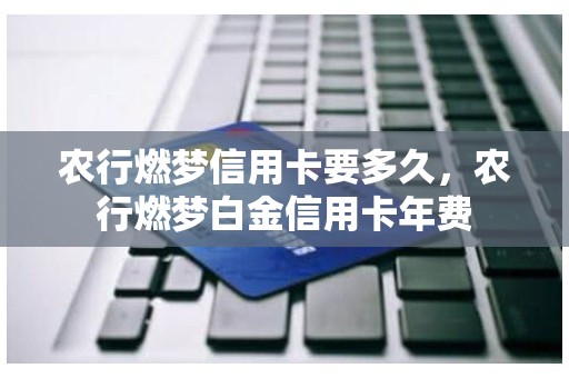 农行燃梦信用卡要多久，农行燃梦白金信用卡年费