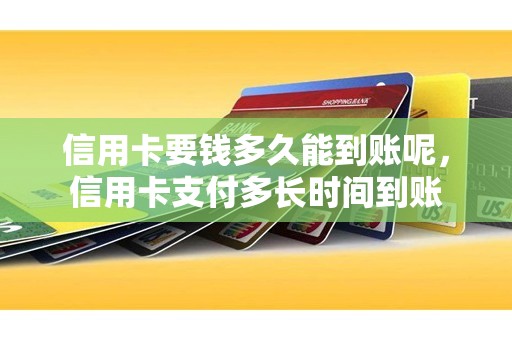 信用卡要钱多久能到账呢，信用卡支付多长时间到账