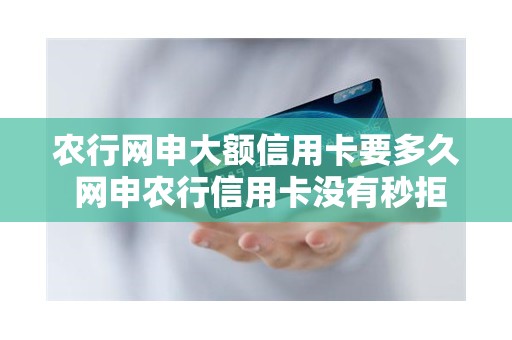 农行网申大额信用卡要多久 网申农行信用卡没有秒拒还有希望吗