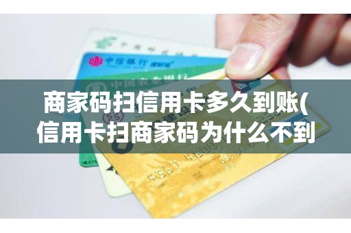 商家码扫信用卡多久到账(信用卡扫商家码为什么不到账)