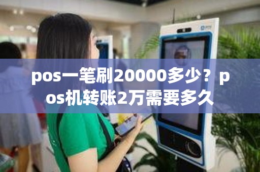 pos一笔刷20000多少？pos机转账2万需要多久
