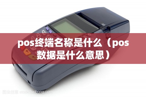 pos终端名称是什么（pos数据是什么意思）