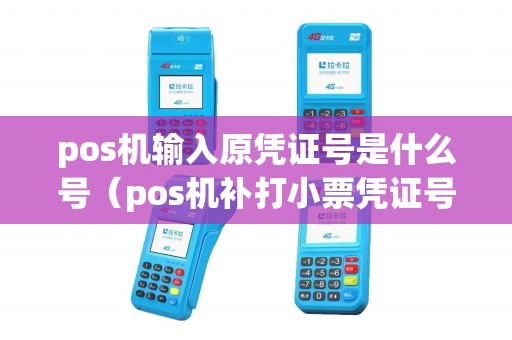 pos机输入原凭证号是什么号（pos机补打小票凭证号）