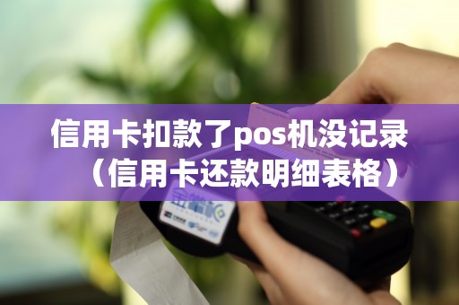 信用卡扣款了pos机没记录（信用卡还款明细表格）