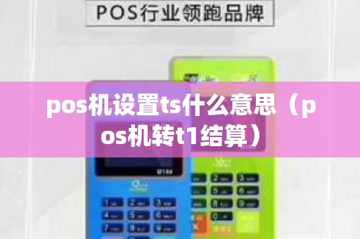 pos机设置ts什么意思（pos机转t1结算）
