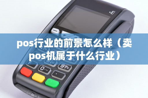 pos行业的前景怎么样（卖pos机属于什么行业）