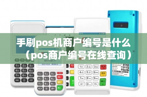 手刷pos机商户编号是什么（pos商户编号在线查询）