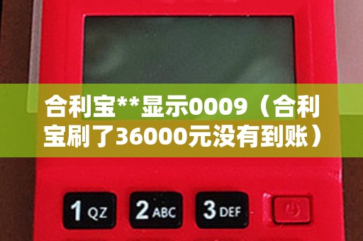 合利宝**显示0009（合利宝刷了36000元没有到账）