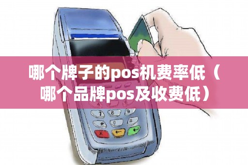 哪个牌子的pos机费率低(哪个品牌pos及收费低) 哪个牌子的pos机费率低(哪个品牌pos及收费低)